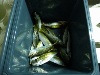 20130102_ɕQ