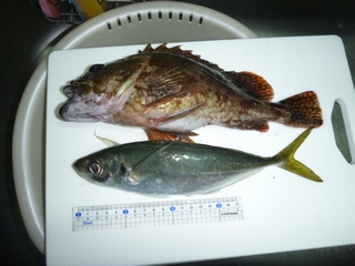 20130103_ɕQ