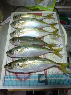 20130119_hމʂP
