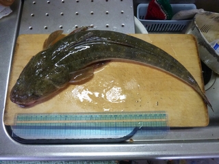 20130126_hމ