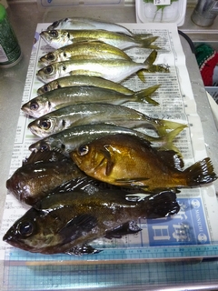 20130216_hʂQ