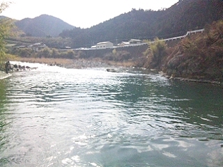20130303_cP