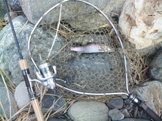 20130303_cQ