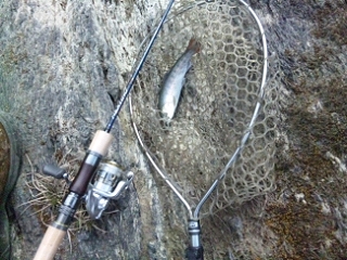 20130303_cT