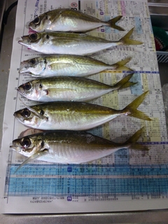 20130316_hމ