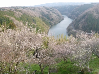 20130324_P
