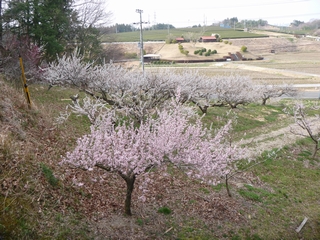 20130324_Q