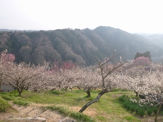 20130324_R
