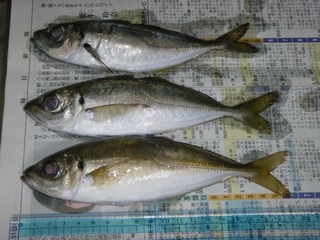 20130330_h