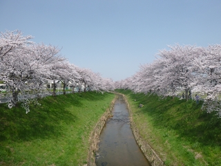 20130330_ېP