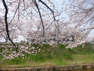 20130330_ېQ