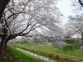 20130330_ېR