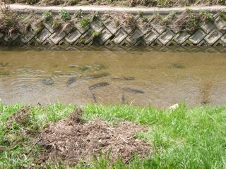 20130330_ېS