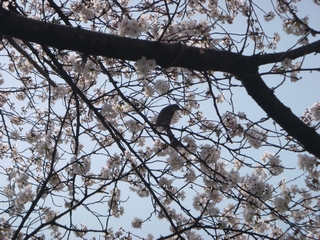 20130330_ېT
