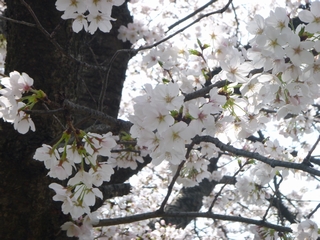 20130330_ېU