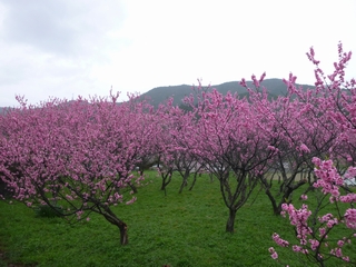 20130406_qQ