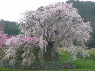 20130406_qR
