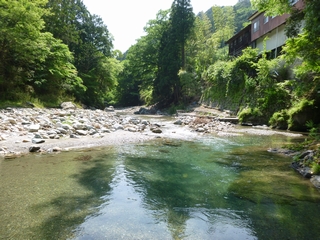 20130525_cP