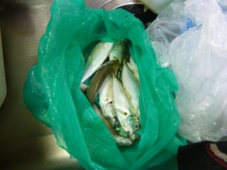 20130802_AWO