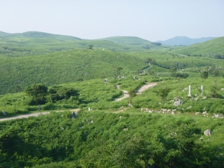 20130810_Hg