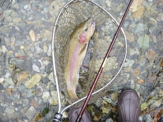 20131005_݂炢kJǗނS