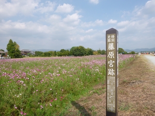 20131012_{ՃRXXP