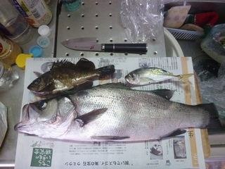 20131012_hʂQ
