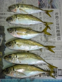 20131101_hʒމ
