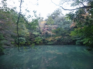 20131116_ɐ_{R