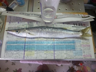 20131123_hʒމ