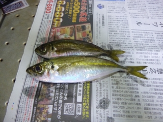 20131207_hމʂQ