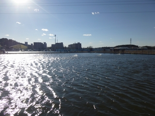 20140119_ԗ{P