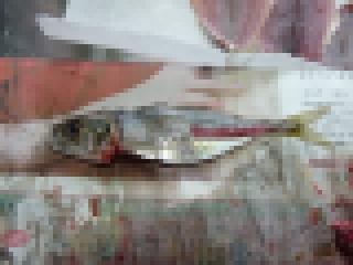 20140201_Lމ