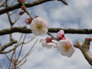 20140222_َRS