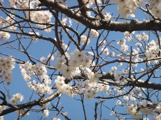 20140315_ĖV
