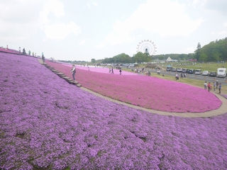 20140426_hCc