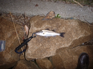 20140430_OQ