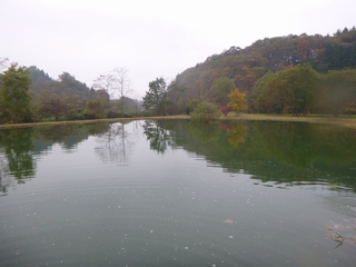 20141101_Hۂe`P