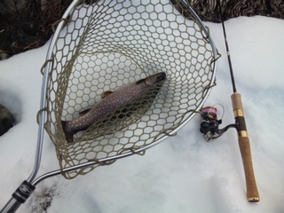 20150221_tHXgXvOXQ