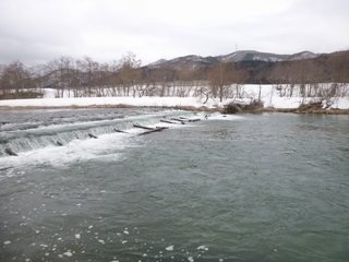 20150308_qbqP