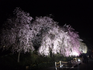 20150416_D隬