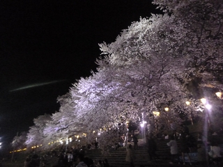20150416_ڐ{