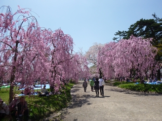 20150425_OOS