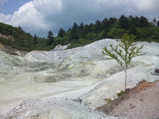 20150516_rn
