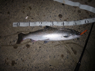 20150529_ǔgR