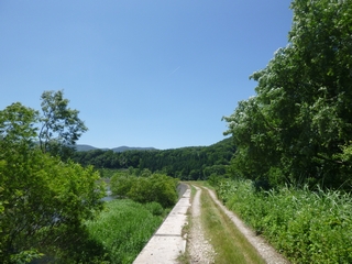 20150711_qbqP