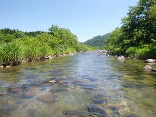 20150711_qbqQ