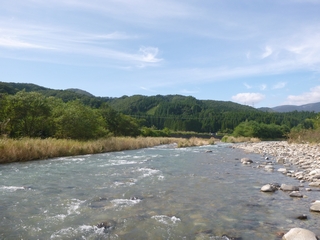 20150921_rYP
