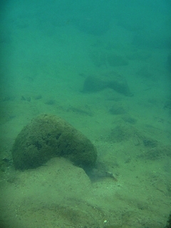 20160326_SP