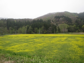 20160502_SV